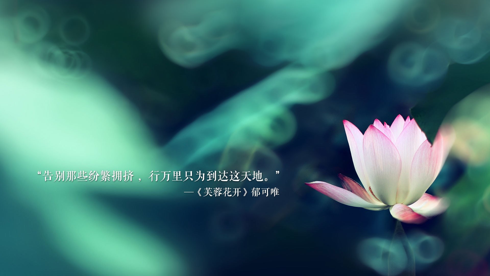 “意甲积分排名极速变动，赛季冲刺渐入高潮”，意甲最新积分排名榜
