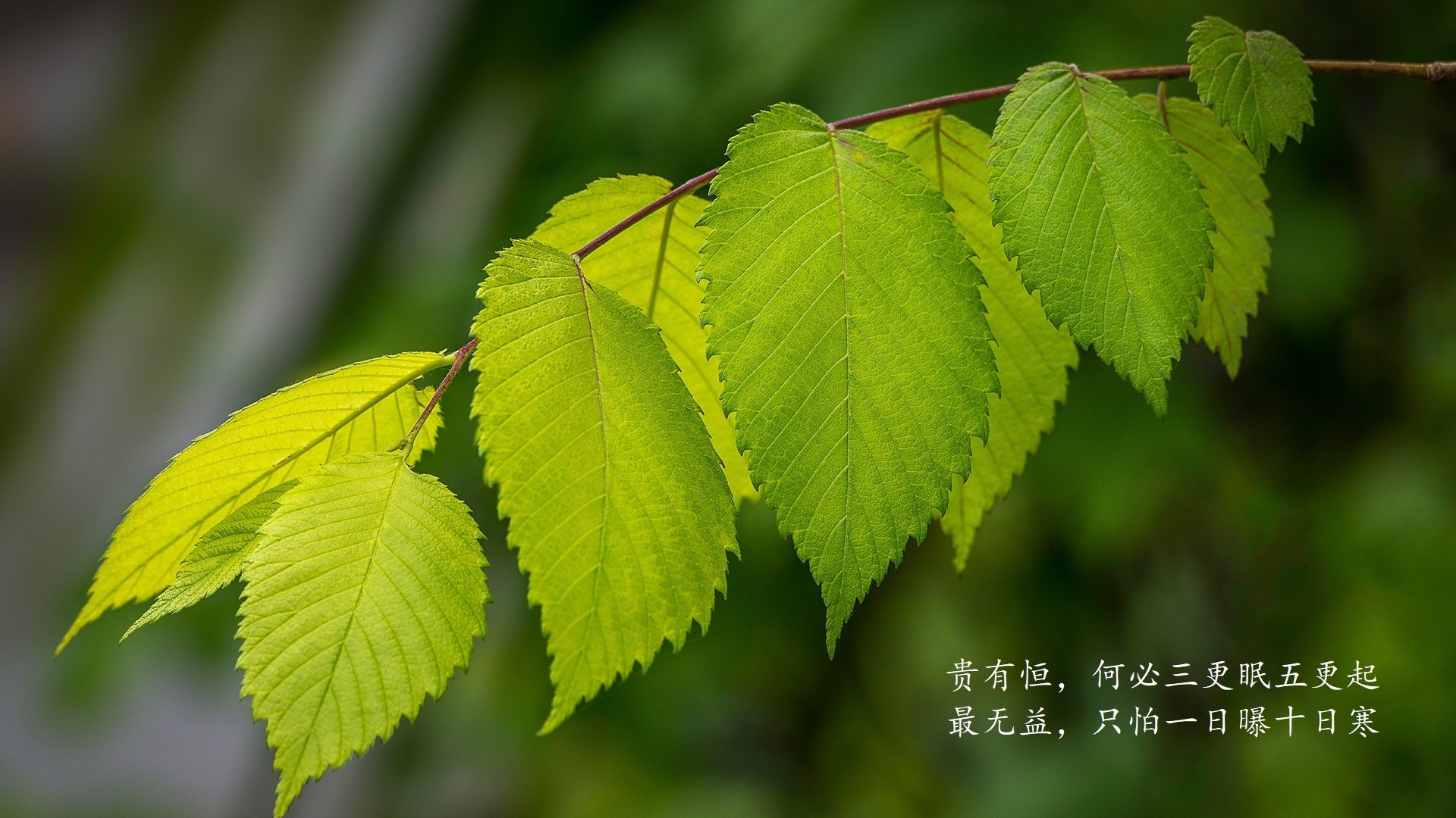 九游网页版官网-EDG与赞助商签订新合作协议，edg正式官宣两大强力新援