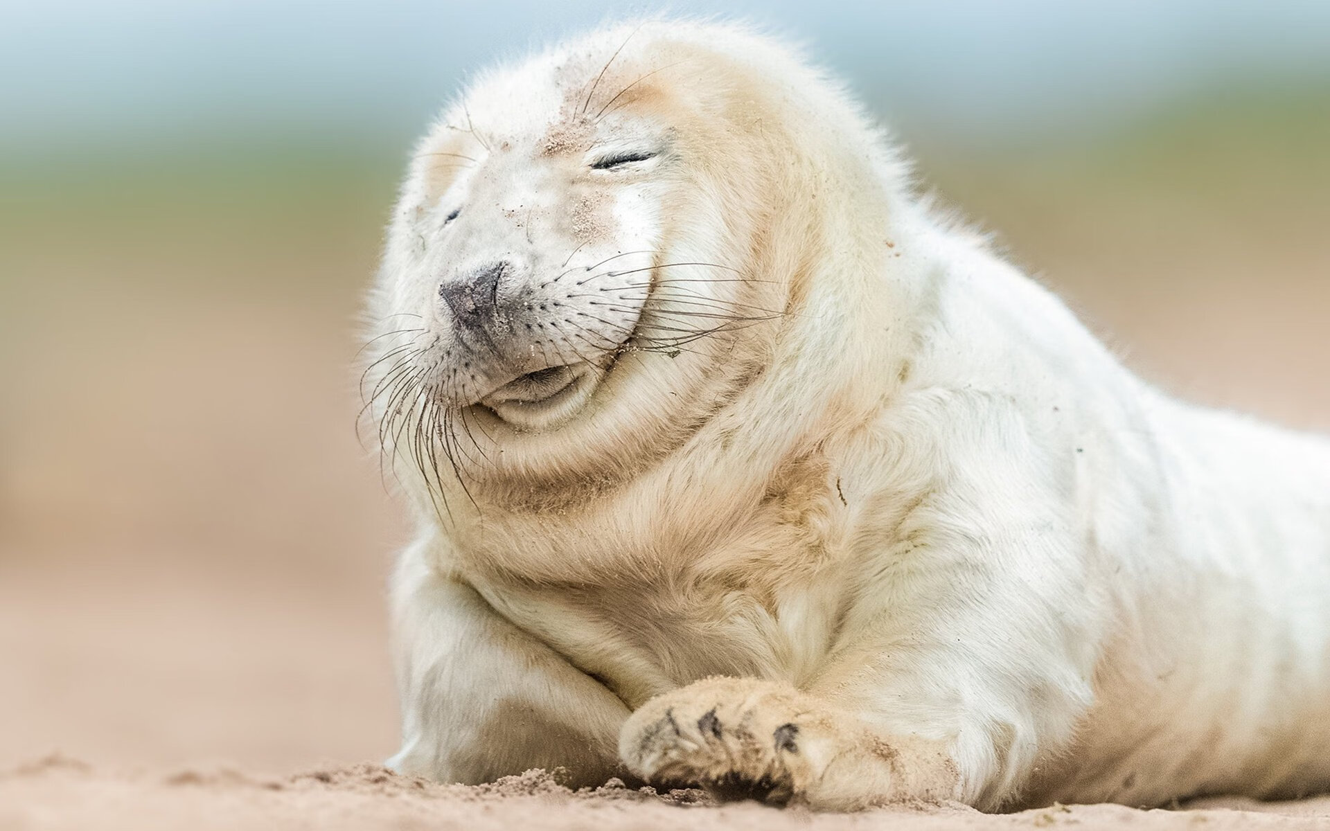 九游APP官网-梅西带领阿根廷迎战世界杯，状态火热