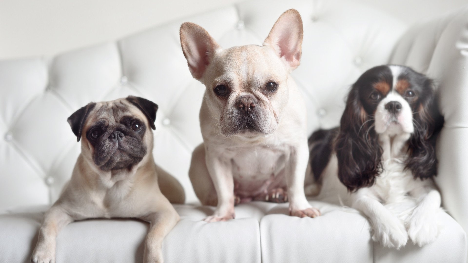 爵士宣布与老将续约加强更衣室稳定性,爵士最新