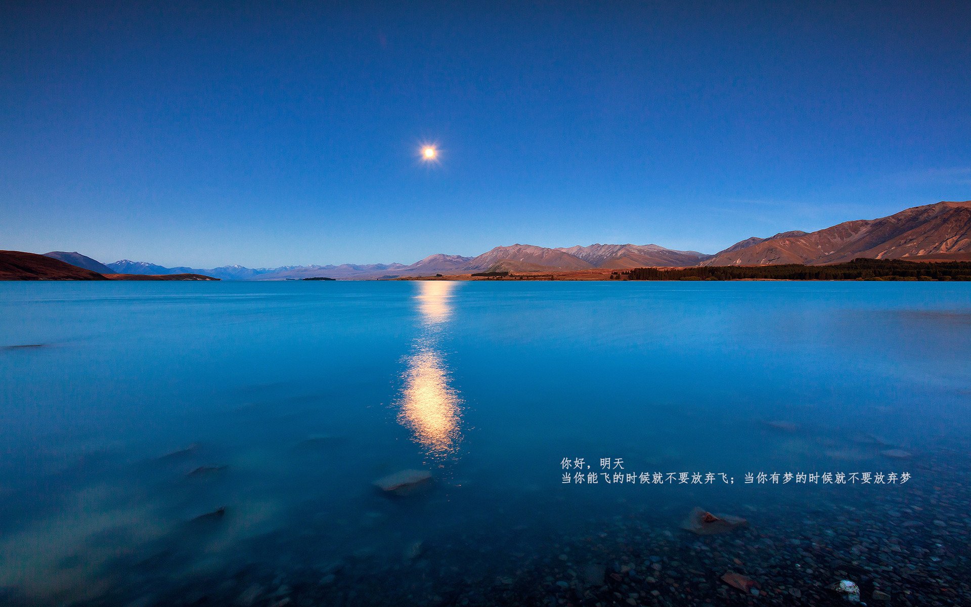 -球队引入基因化训练评估，个性化训练迈出新步伐