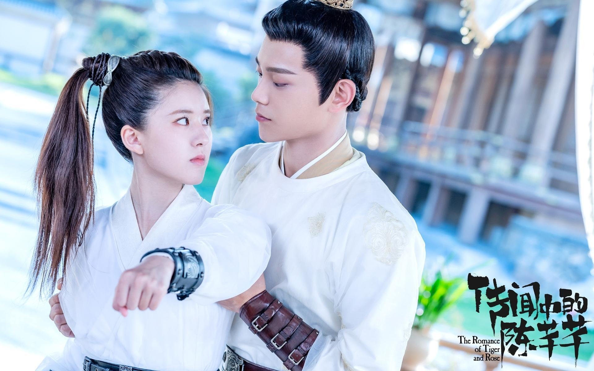 荷兰队在欧洲预赛中表现优异,晋级希望提升