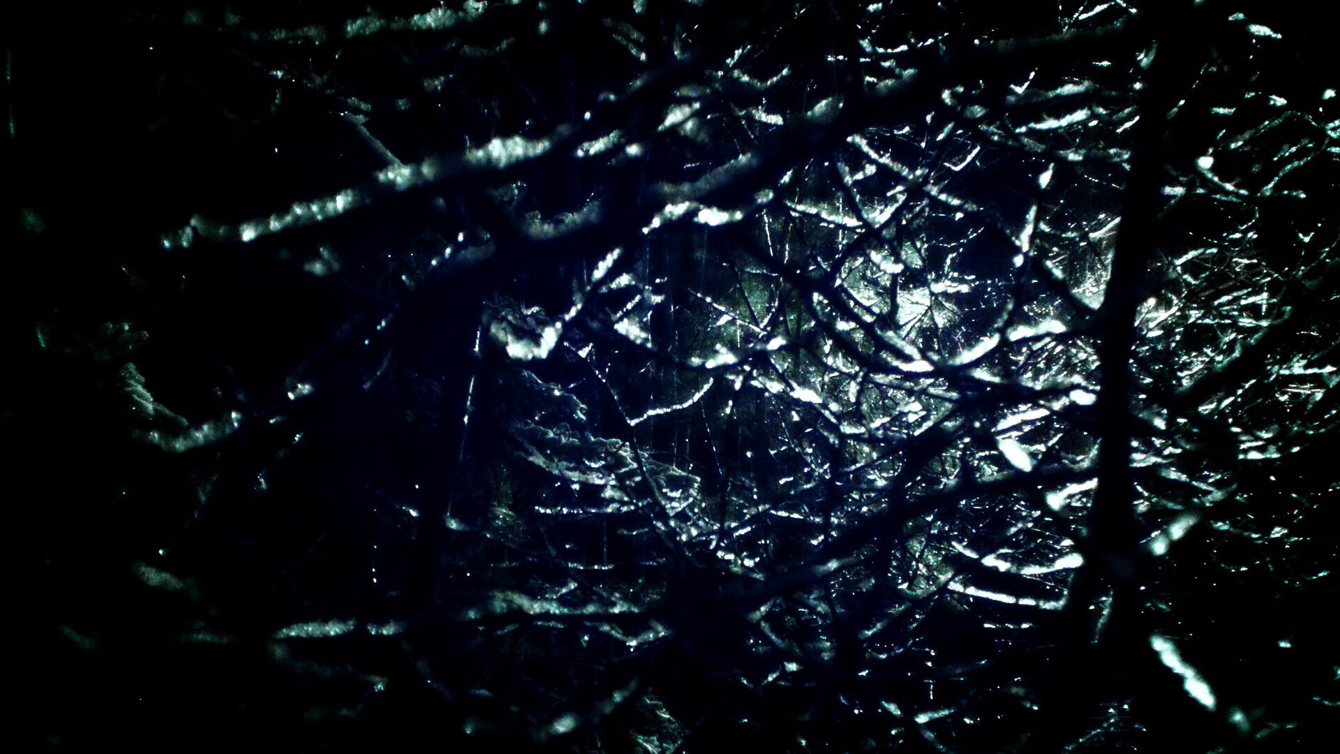 九游官网pc-蝶泳新星韩国崭露锋芒，蝶泳韩国美女