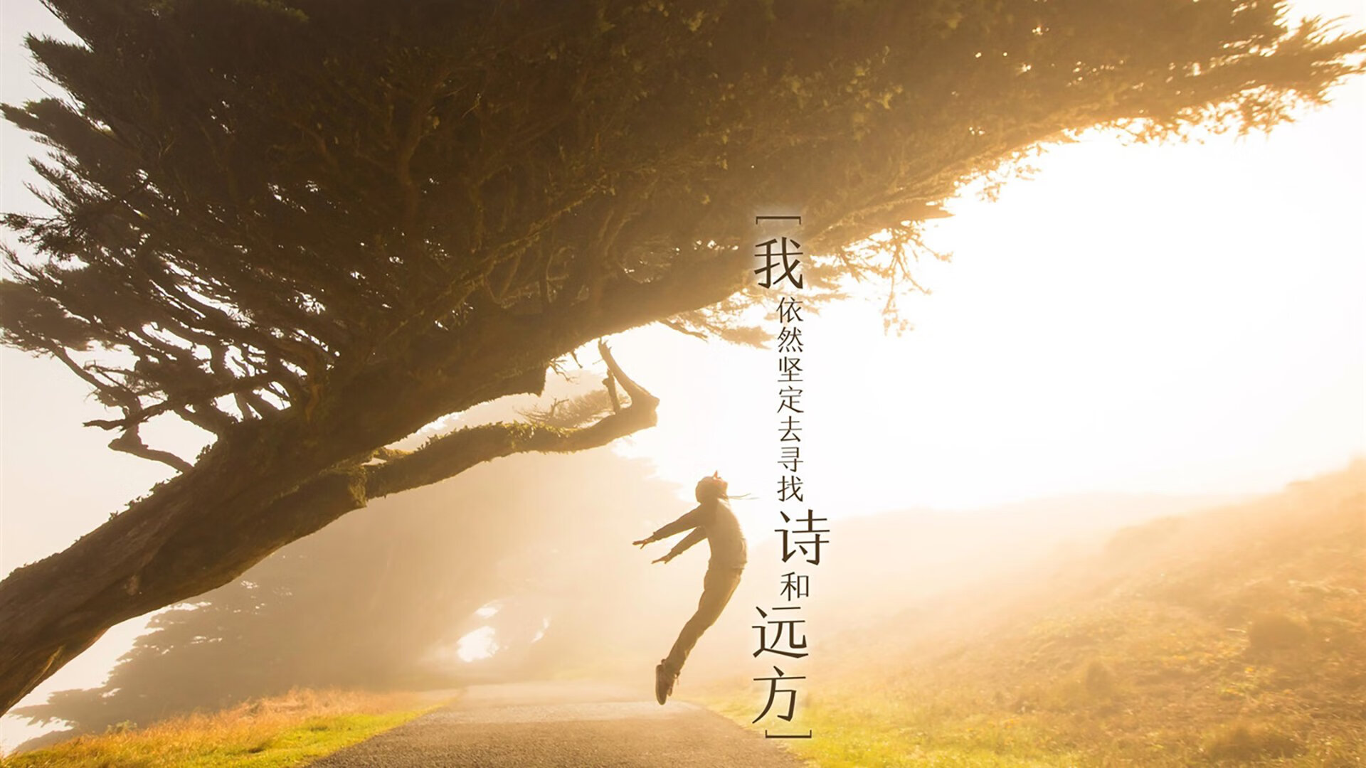 跳水荷兰女选手步步为营,国外女士跳水