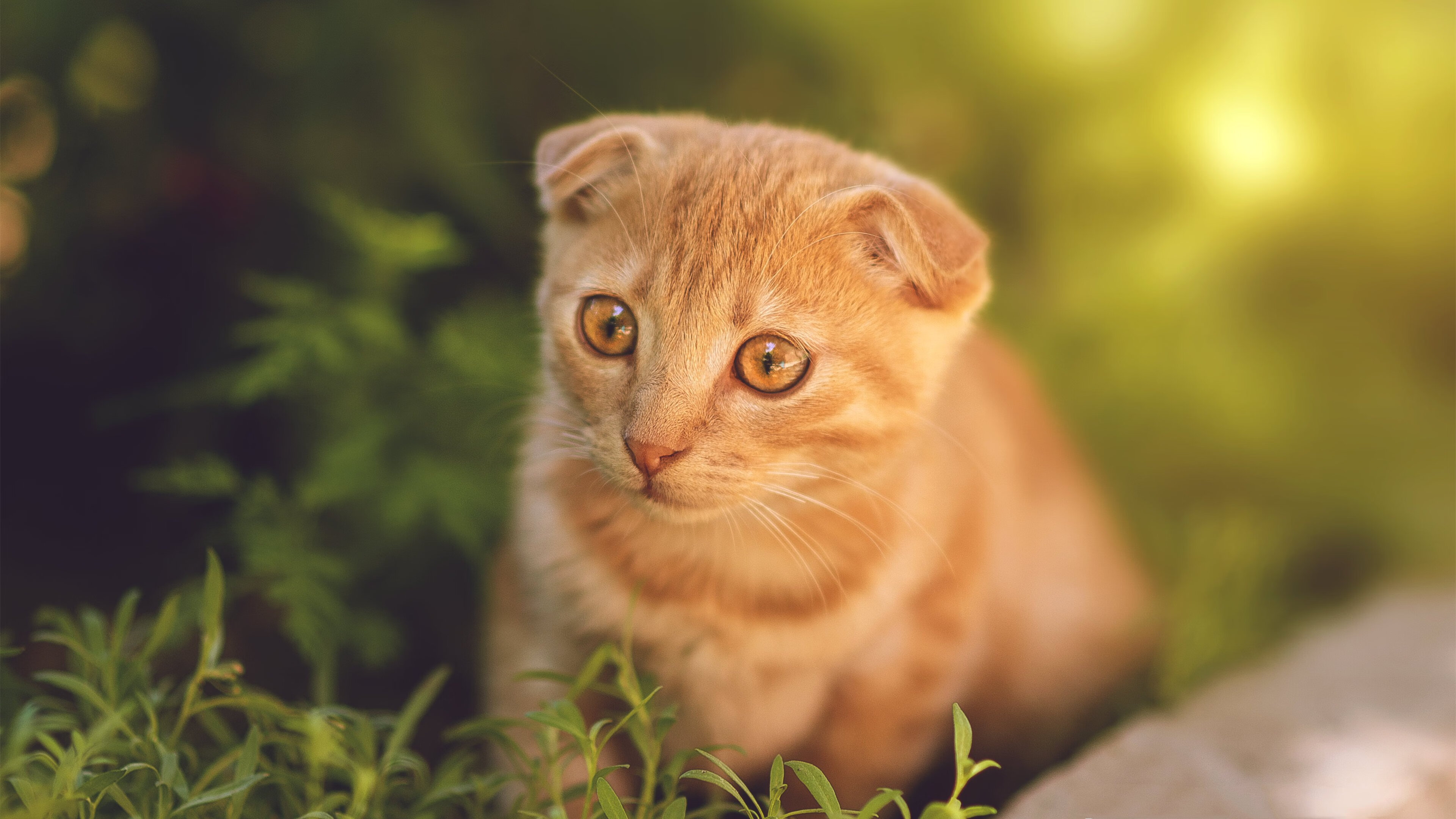 青训中心建立心理辅导机制关注青少年情绪成长,青少年心理辅导重要性