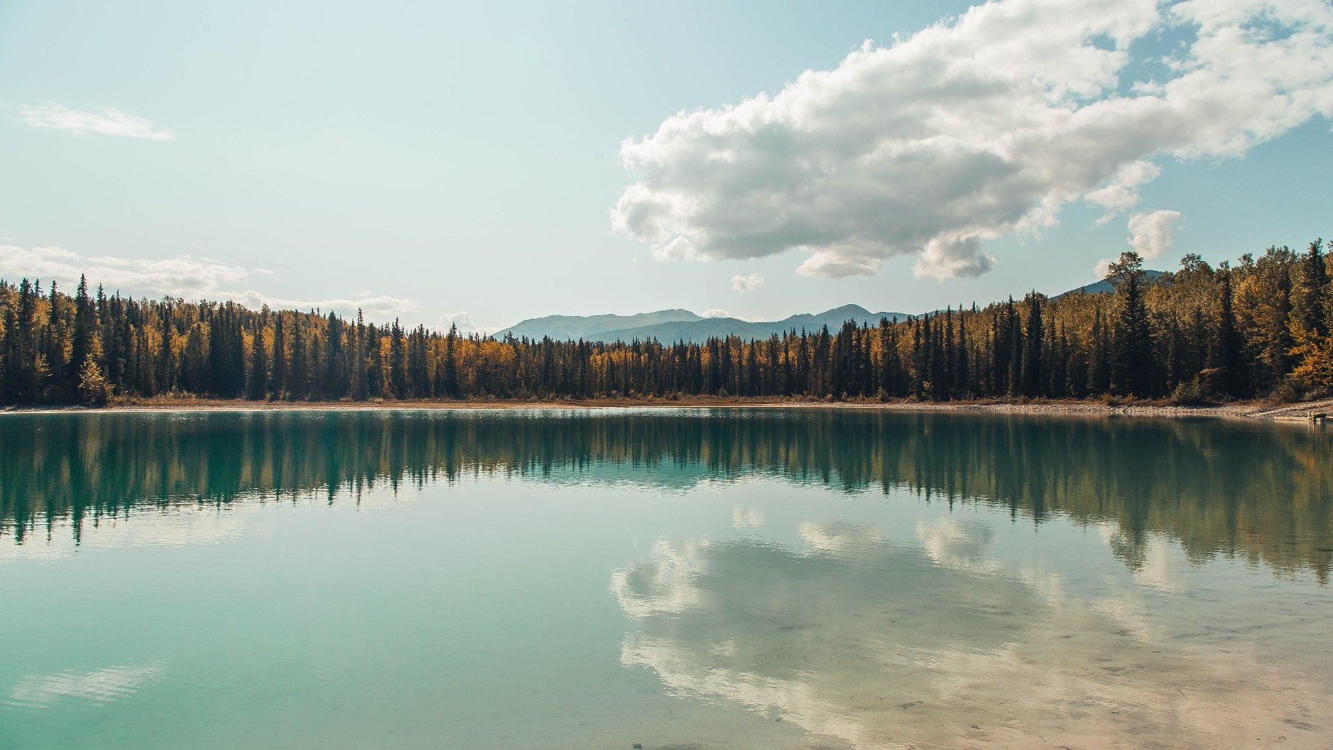 九游APP官网-黎巴嫩男篮在西亚锦标赛中奋战不止，力争奥运弯道超车，黎巴嫩篮球水平