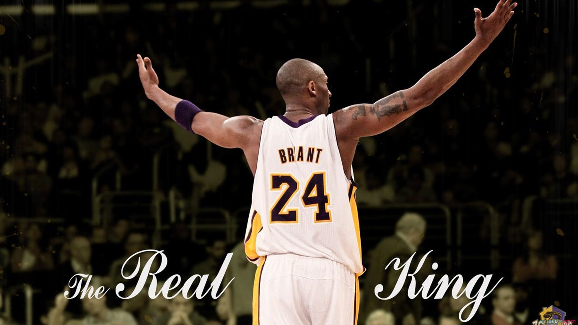 _夜光战场：夜间灯光秀激发不同精彩_，夜光灯视频